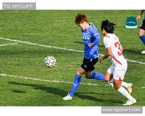 武汉羽毛球队的拼搏历程与大满贯荣耀之路的深度剖析