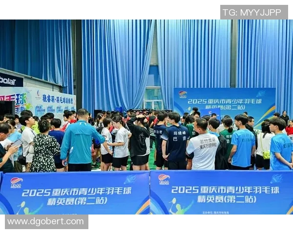 重庆羽毛球队在精英赛中的意识表现分析与总结